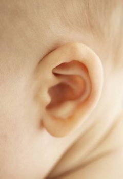 5 dicas de cuidados com as orelhas dos recém nascidos