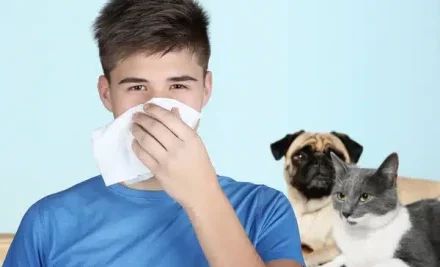 Alergias vs animais de estimação